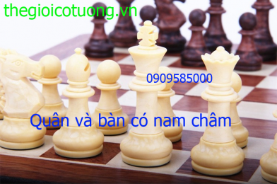 Bộ cờ vua nhựa vân giả gỗ có nam châm cực đẹp